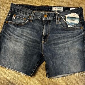 AG-ED Denim Shorts